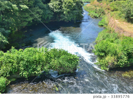 柿田川-27786 33895776