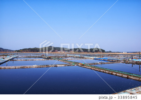 塩田 西海の塩田 西海岸 33895845