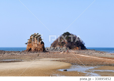 岩 石 グー 33895852