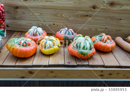 Large pumpkin fruit Large pumpkin fruit 33895953