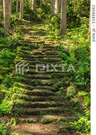 熊野古道・大雲取越 熊野古道・大雲取越 33896062