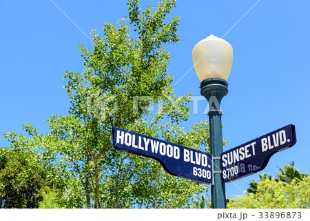 Hollywood boulevard sign Hollywood boulevard sign 33896873