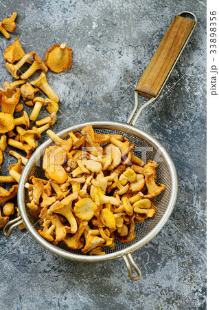 Forest mushrooms chanterelle Forest mushrooms chanterelle 33898356