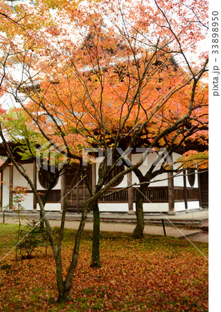 宝福寺 宝福寺 33898950