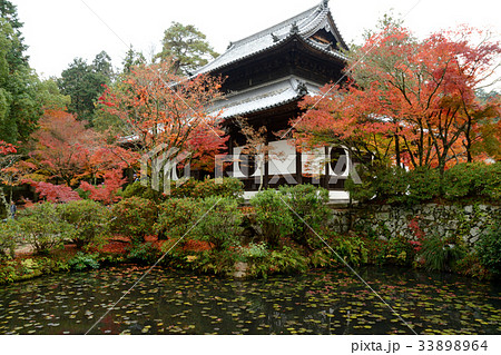 宝福寺 宝福寺 33898964