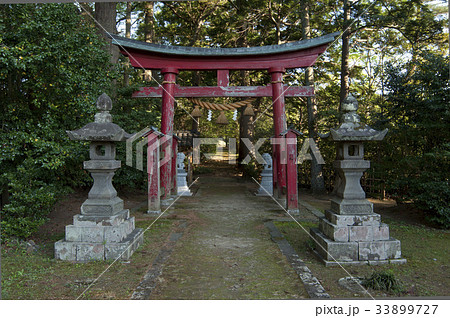 佐渡島 佐渡大膳神社 佐渡島 佐渡大膳神社 33899727