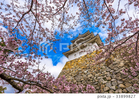 Akashi Castle Japan Akashi Castle Japan 33899827