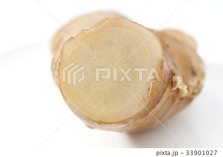 生姜 生姜 33901027