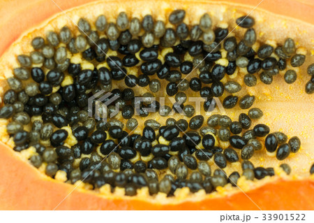 Papaya fruits Papaya fruits 33901522
