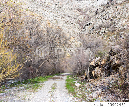 Dirt road in the mountains in the open air Dirt road in the mountains in the open air 33902483