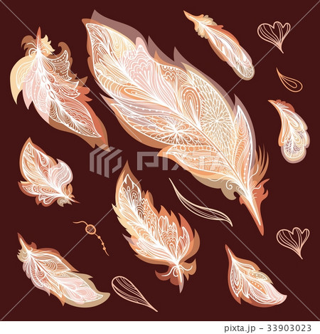 Fall Vector Feathers Set Fall Vector Feathers Set 33903023