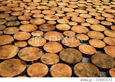 pavement of wooden logs pavement of wooden logs 33903571