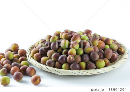 小梅 パープルクィーン 小梅 パープルクィーン 33904294