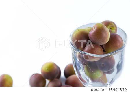 小梅　パープルクィーン 33904359