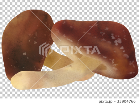 香菇 香菇 33904766