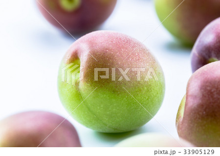 小梅　パープルクィーン 33905129