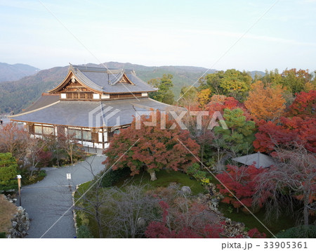 もみじ庭園_将軍塚青龍殿 もみじ庭園_将軍塚青龍殿 33905361