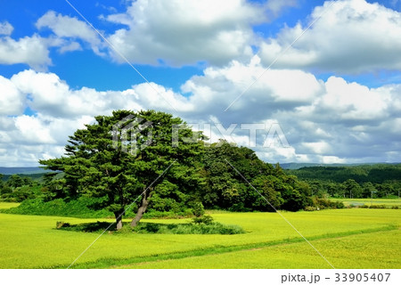 象潟　九十九島 33905407