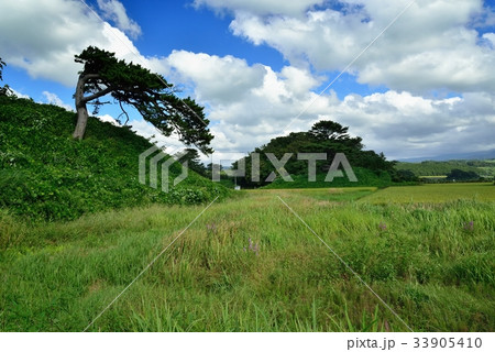 象潟　九十九島 33905410