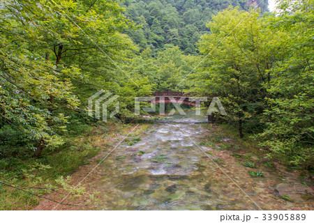 Waterfall and bridge in Golden whip stream  33905889