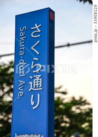 さくら通り道標 さくら通り道標 33908129