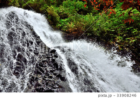 日本の滝百選「七滝」 日本の滝百選「七滝」 33908246