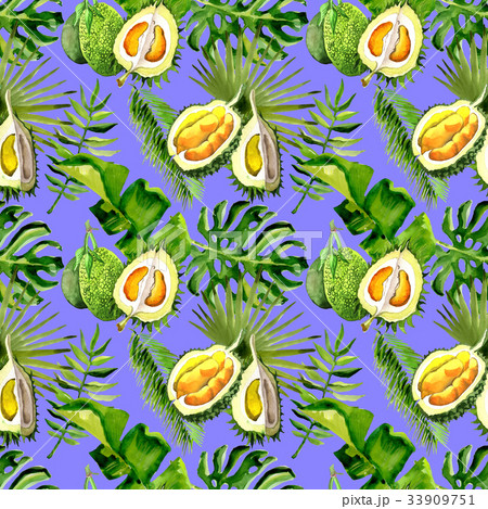Tropical Hawaii leaves palm tree and durian Tropical Hawaii leaves palm tree and durian 33909751