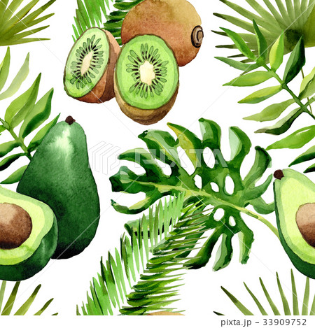 Tropical Hawaii leaves palm tree, kiwi and avocado 33909752