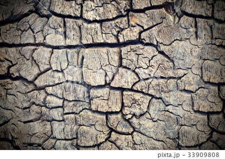 wood crack texture background wood crack texture background 33909808