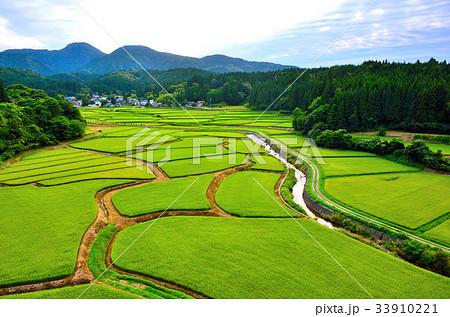 田んぼアート 秋田県男鹿市 田んぼアート 秋田県男鹿市 33910221