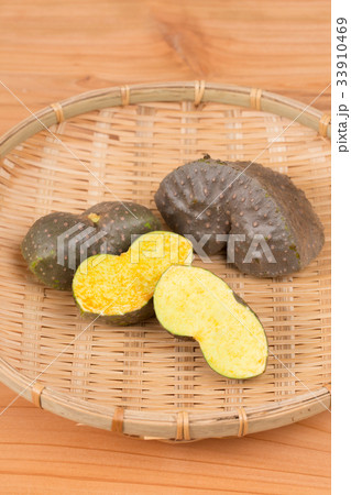 宇宙芋（エアーポテト） 33910469