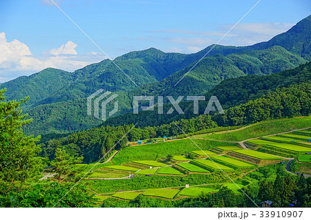 姨捨棚田 長野 姨捨棚田 長野 33910907