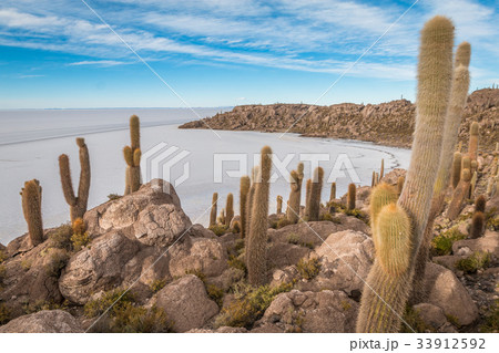 Fish Island in Salar Uyuni Bolivia Fish Island in Salar Uyuni Bolivia 33912592