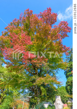 英彦山の紅葉 英彦山の紅葉 33912686