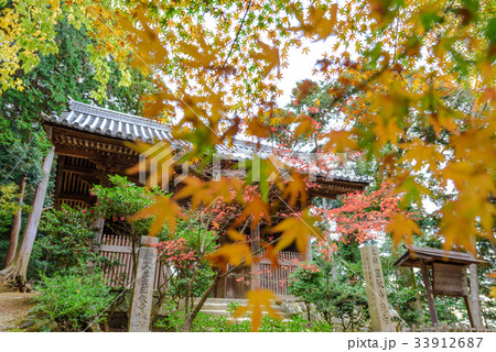 書写山圓教寺仁王門 書写山圓教寺仁王門 33912687