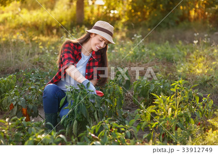woman gardener with bell pepper woman gardener with bell pepper 33912749