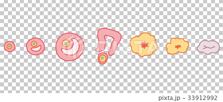 卵胞の変化 33912992