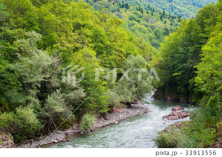 Summer landscape with mountain river Belaya 33913556