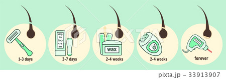 Hair removal methods and growth time infographic Hair removal methods and growth time infographic 33913907
