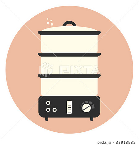 Flat food steamer icon, kitchen appliance 33913935