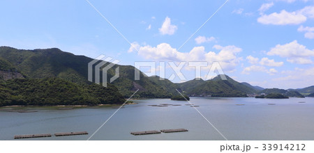 片上湾 片上湾 33914212