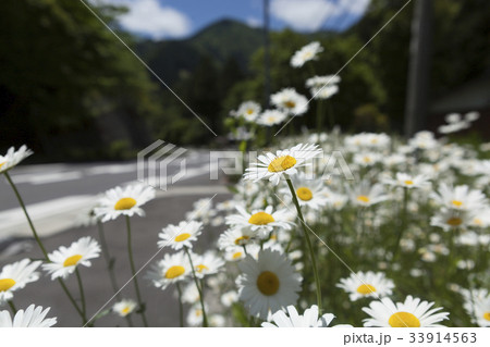 beautiful road beautiful road 33914563