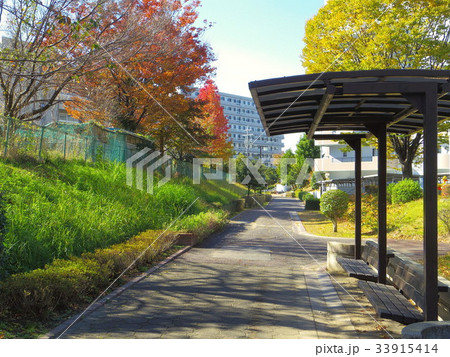 紅葉の散歩道 33915414