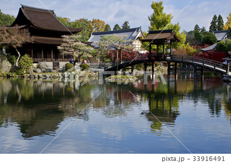 紅葉の虎渓山永保寺 国の名勝永保寺庭園の写真素材