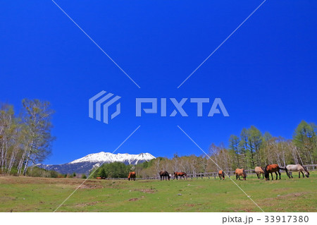 木曽馬と御嶽山 33917380
