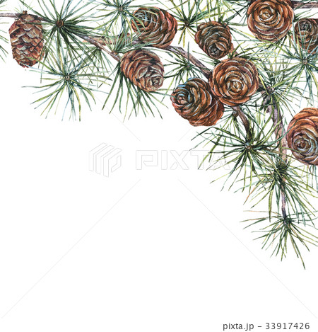 Watercolor forest greeting card with sprig of fir 33917426