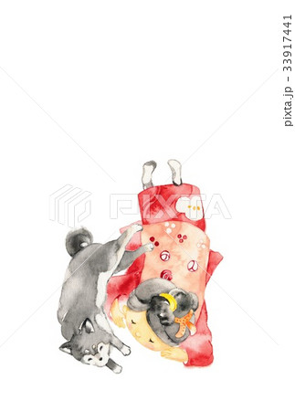 赤い着物の女の子、お昼寝、黒柴 33917441