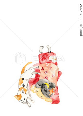 赤い着物の女の子、お昼寝、三毛猫 赤い着物の女の子、お昼寝、三毛猫 33917442