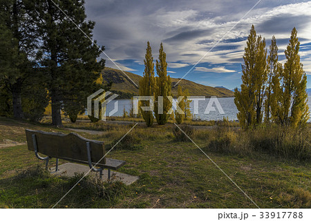Lonely bench located at lake Tekapo 33917788