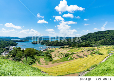 大浦の棚田 33918013